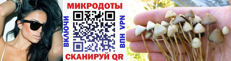 Псилоцибиновые грибы MAGIC MUSHROOMS  Юрьев-Польский 