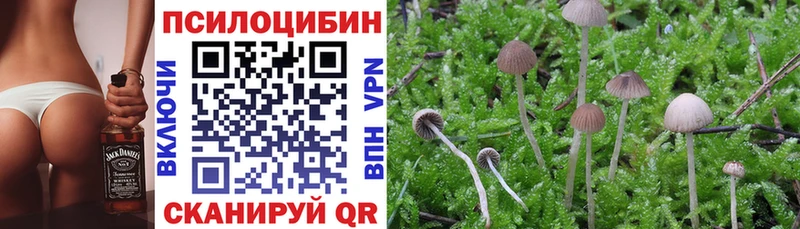 Псилоцибиновые грибы Cubensis Юрьев-Польский